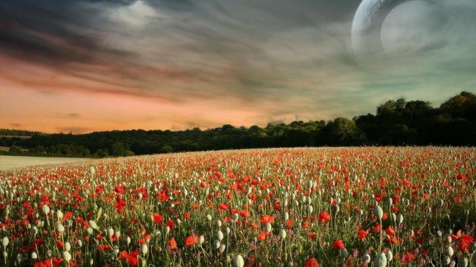 产品中心标题一